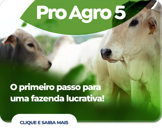 Pro Agro 5 - Precisão Agro - LP