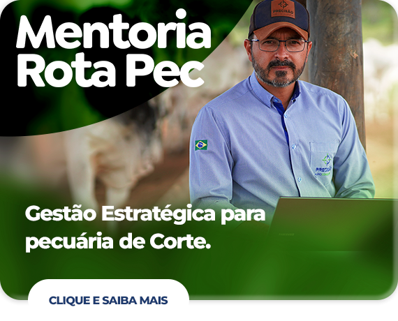 Mentoria Rota Pec - Precisão Agro - LP